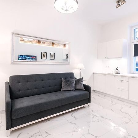 Apartamenty Biznes By Shausha Nr 7A Gliwice Buitenkant foto